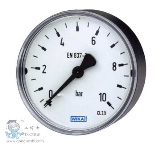 WIKA 110.12ѹ1