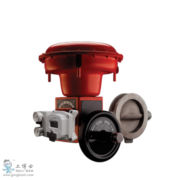 Masnoneilan 37002蝶閥