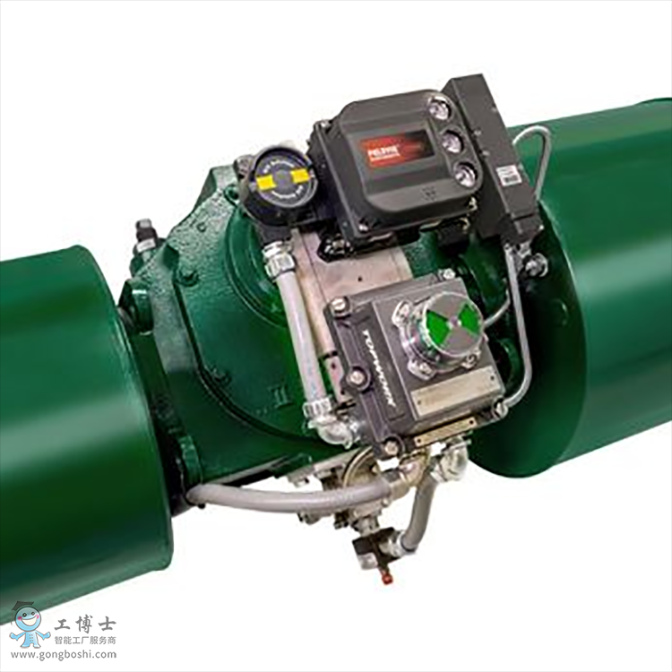 Fisher™ FIELDVUE™ DVC6200 SIS ʽſ